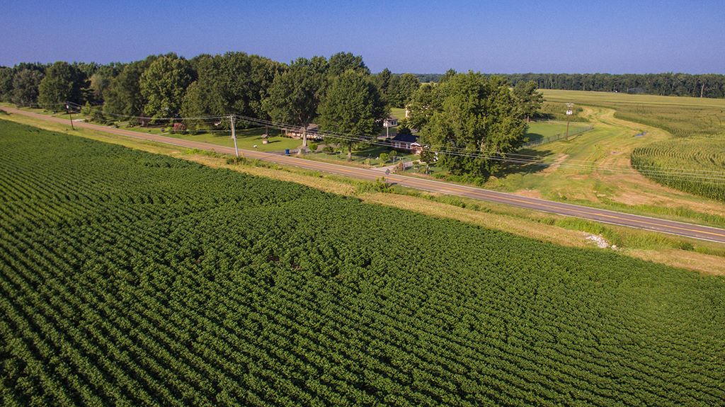 West Tennessee cotton fields near Stanton