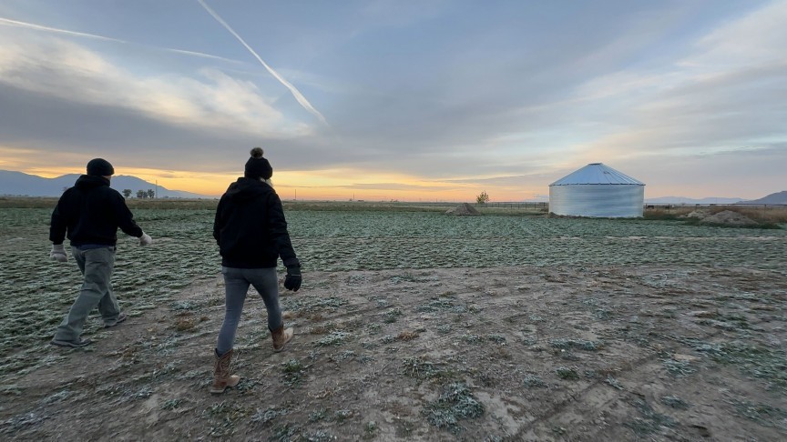 Tremonton, Utah - USDA eligible