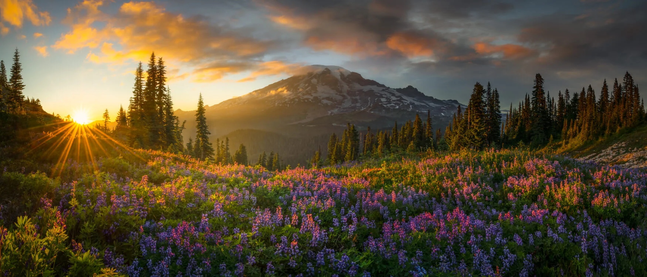 Mount Rainier Washington mortgage financing